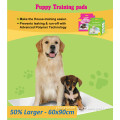 X-Large Toilet Training Pads (TP2430)